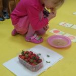 13233011_10154013883125630_1098043048312124324_n